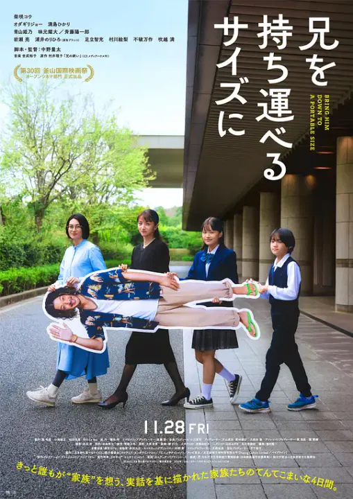 【喜剧片】把哥哥带走