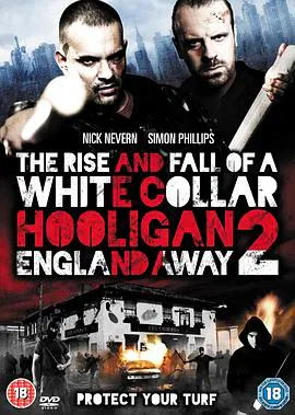 【犯罪片】白领流氓2